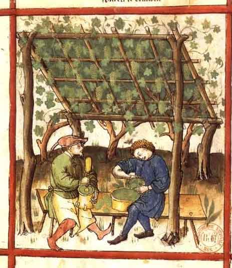 Verjus of the middle ages